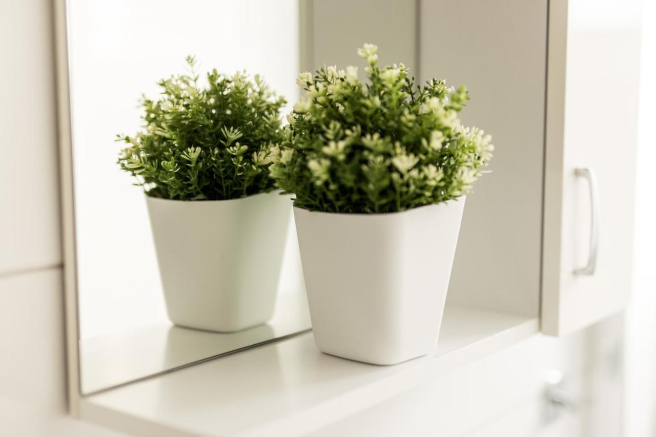 Apartman Magi Zara Esterno foto